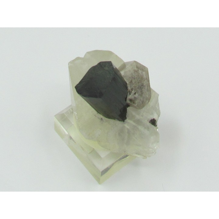 Tourmaline schorl, apatite & Quartz - Minas Gerais - Brasil
