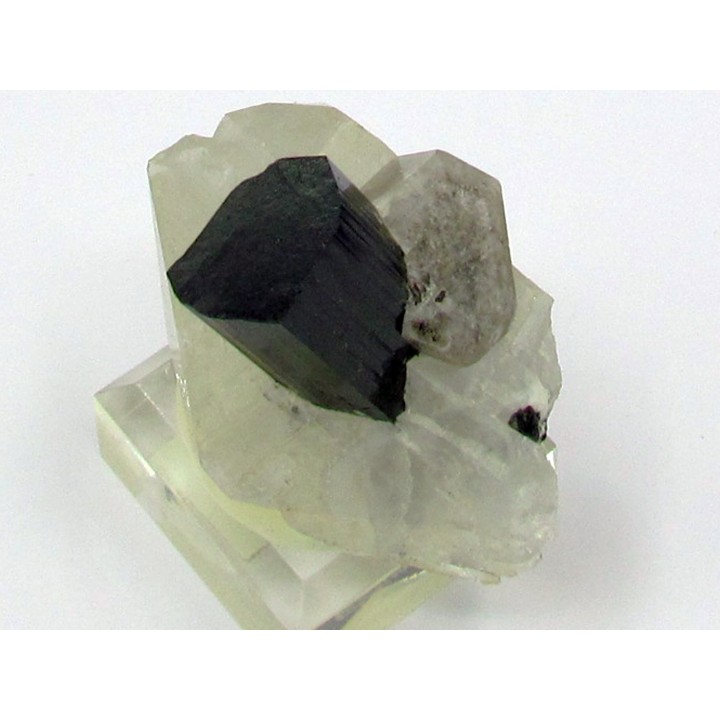 Tourmaline schorl, apatite & Quartz - Minas Gerais - Bresil