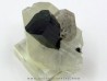 Tourmaline schorl, apatite & Quartz - Minas Gerais - Bresil