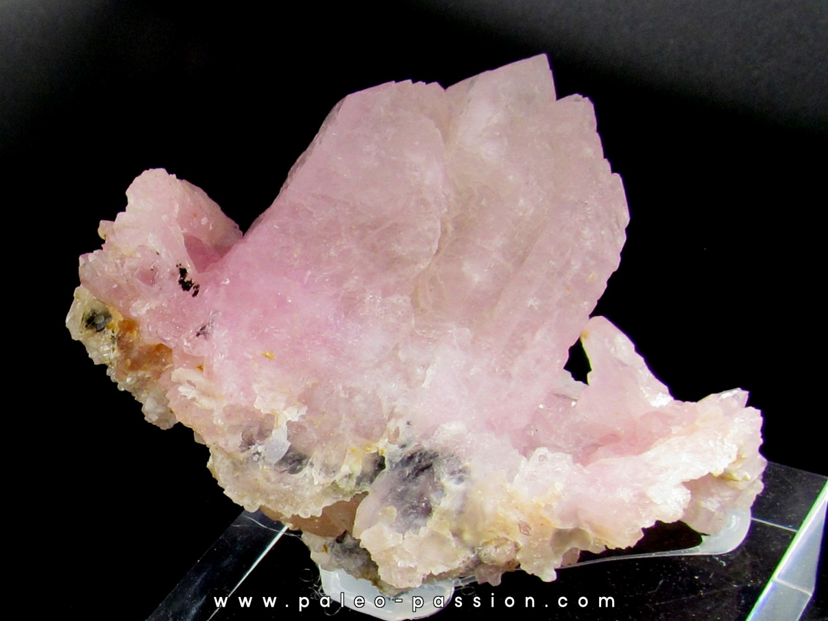 Quartz rose - Pitora-Galileia, Minas Gerais - Bresil
