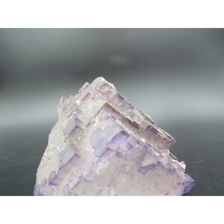 Fluorine violette du Maroc