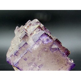 Fluorine violette du Maroc