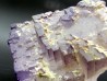 Fluorine violette du Maroc
