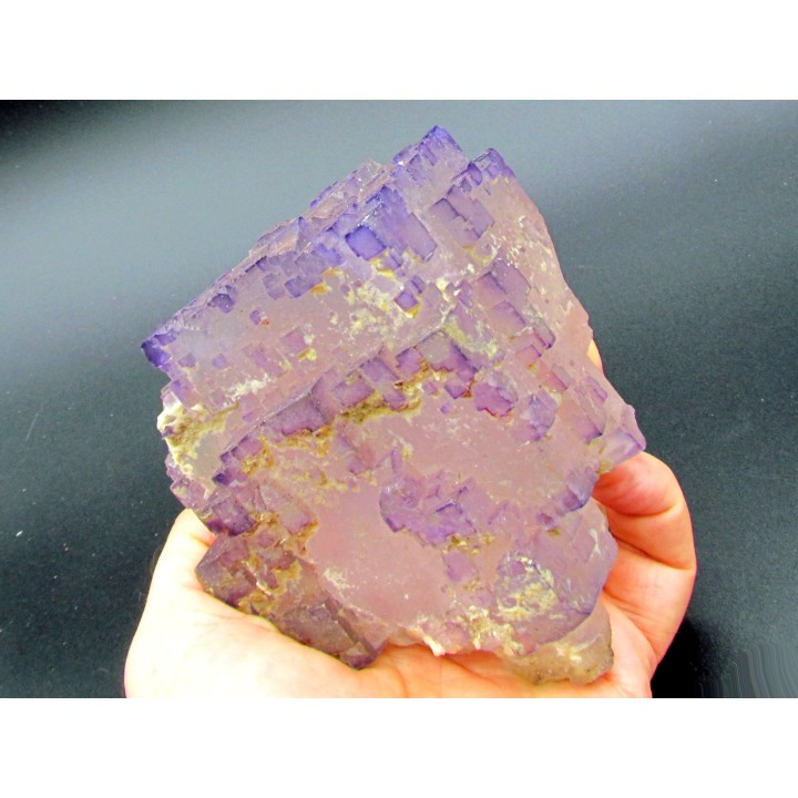Fluorine violette du Maroc