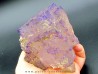 Fluorine violette du Maroc