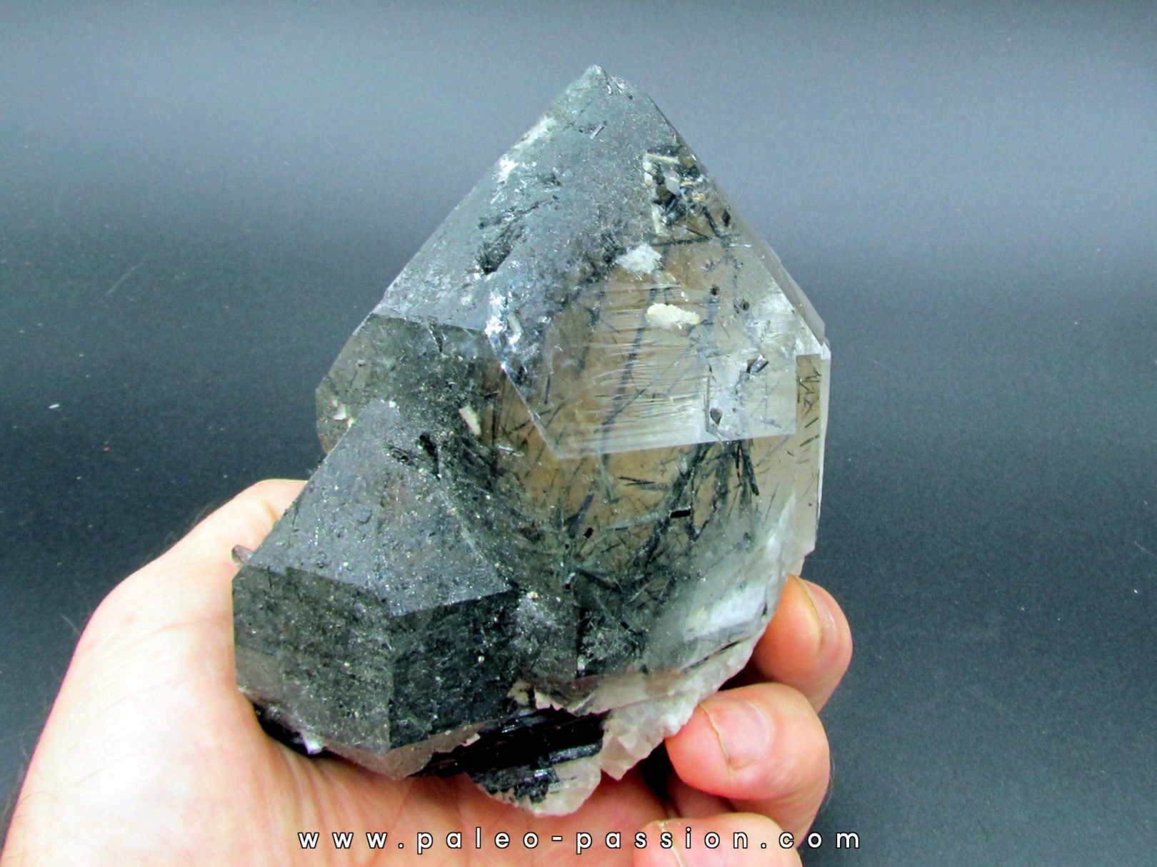 inclusion Quartz: Tourmaline schorl - Minas Gerais - Brasil