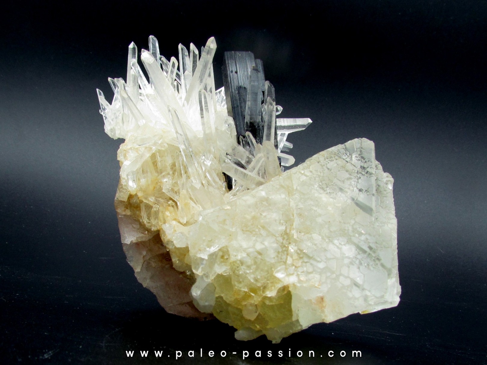 belle association: Quartz, Hubnerite, Fluorine // Perou