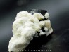 Tourmaline schorl, apatite & Quartz - Minas Gerais - Bresil