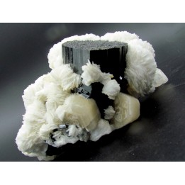 Tourmaline schorl, apatite & Quartz - Minas Gerais - Bresil