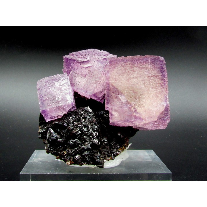 fluorine violette sur sphalerite  - elmwood USA