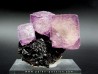 purpple fluorine violette on sphalerite - elmwood USA