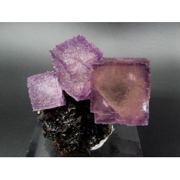 purpple fluorine violette on sphalerite - elmwood USA