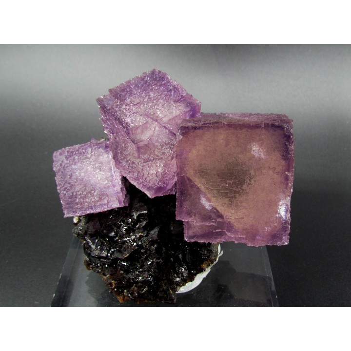 fluorine violette sur sphalerite  - elmwood USA