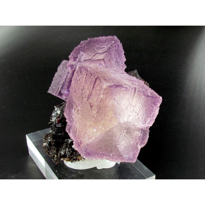 fluorine violette sur sphalerite  - elmwood USA