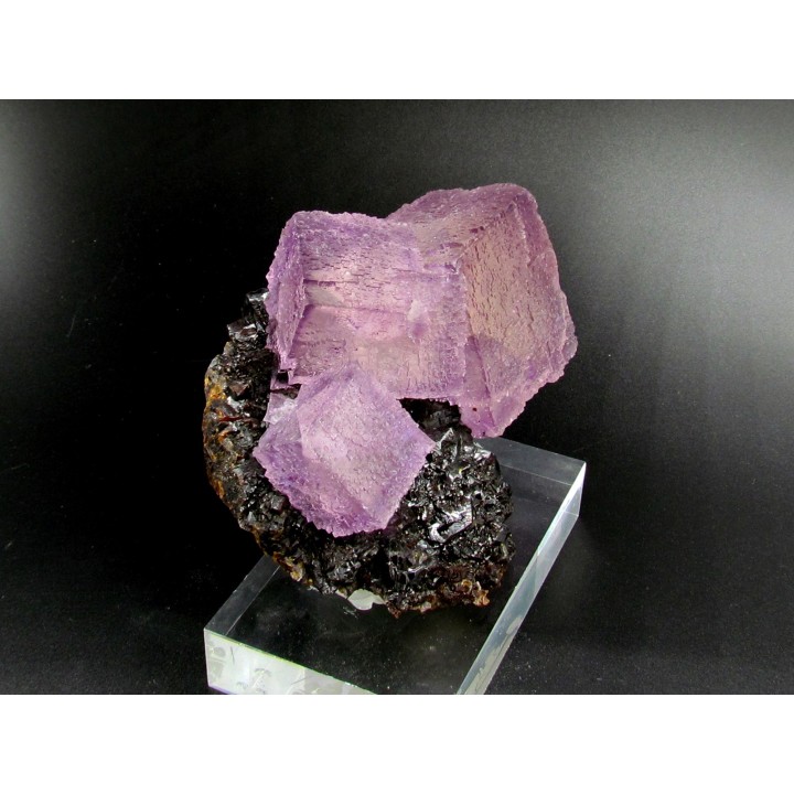 fluorine violette sur sphalerite  - elmwood USA