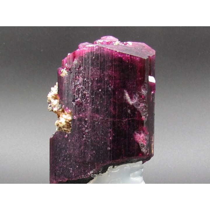 TOURMALINE LIDDICOATITE - Madagascar