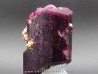 TOURMALINE LIDDICOATITE - Madagascar