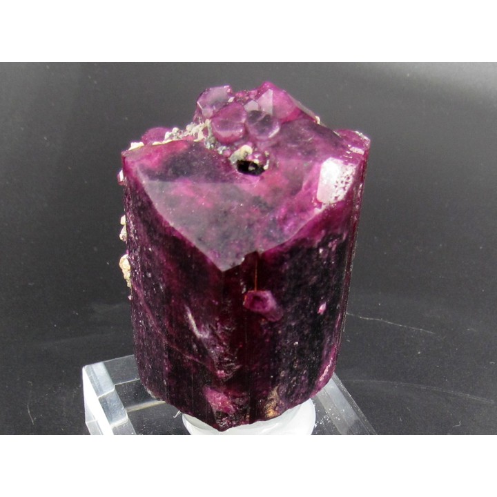 TOURMALINE LIDDICOATITE - Madagascar