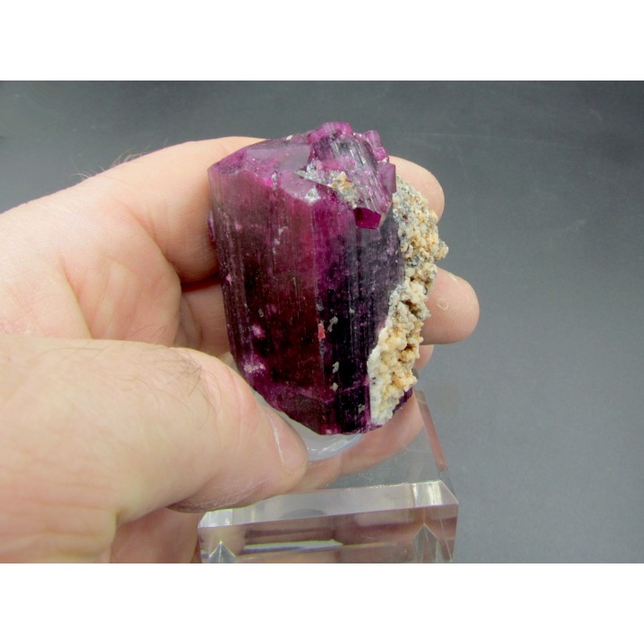 TOURMALINE LIDDICOATITE - Madagascar