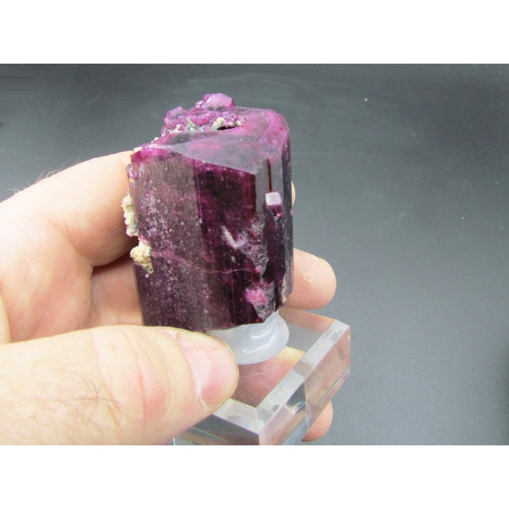 TOURMALINE LIDDICOATITE - Madagascar