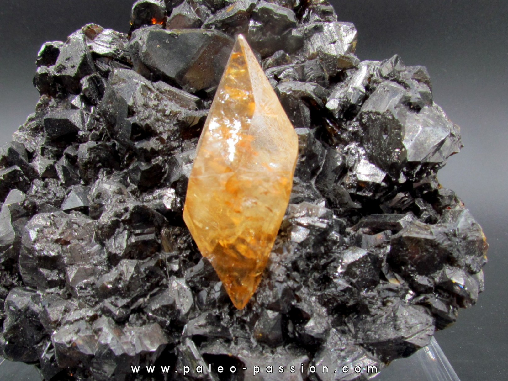 Calcite sur sphalerite - elmwood USA