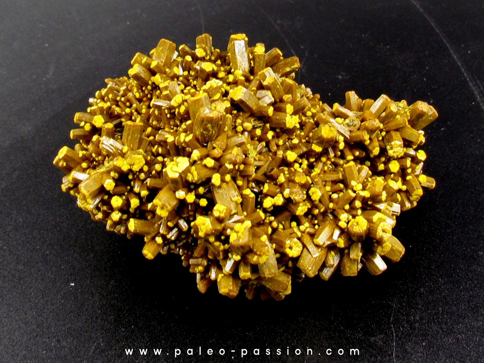 Pyromorphite "mustard touch" Les Farges, France