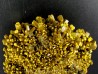 Pyromorphite "mustard touch" Les Farges, France