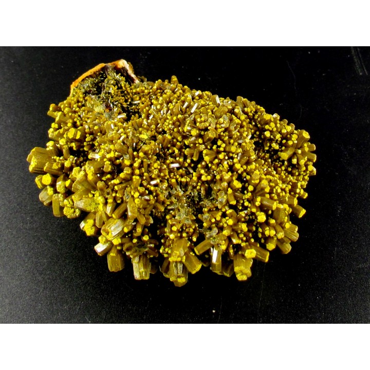 Pyromorphite "mustard touch"  Les Farges, France
