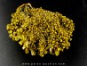 Pyromorphite "mustard touch" Les Farges, France