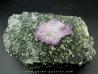 Quartz Amethyste - Karur, Tamil Nadu, INDES