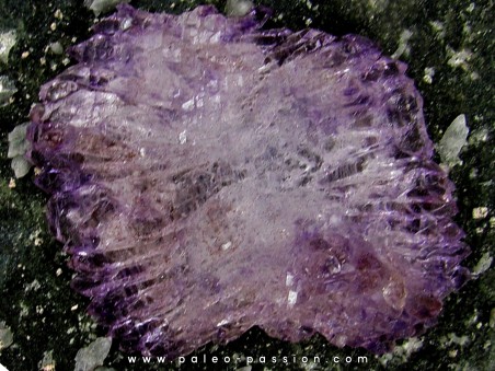 Quartz Amethyst - Karur, Tamil Nadu, INDES