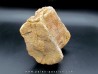 vertèbre de dinosaure théropode francais: Mégalosaure