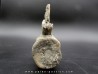 crocodil  vertebrae - steneosaurus sp.