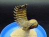 CROTALOCEPHALUS GIBBUS