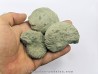 set of 3 unprepared HOPLITES