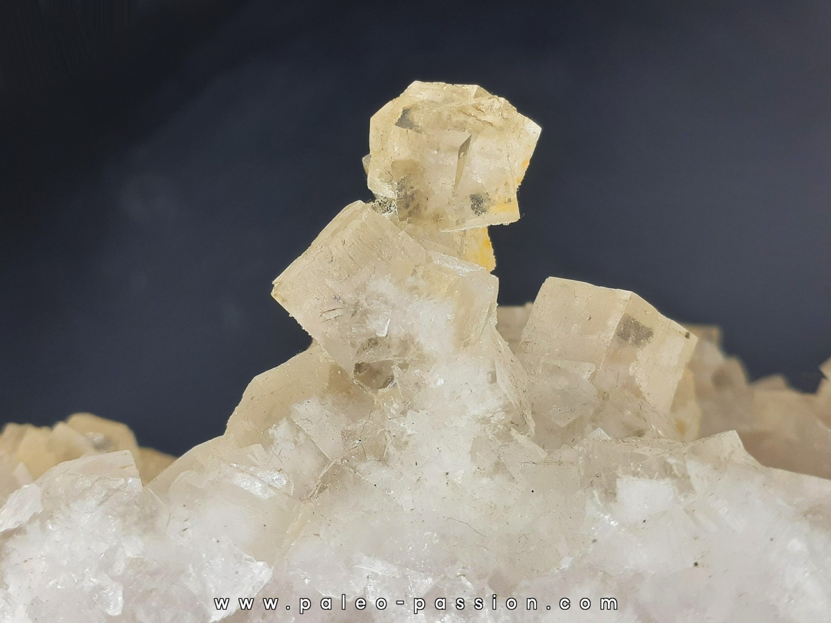 Fluorine incolore en stalactites - Fonsante - France