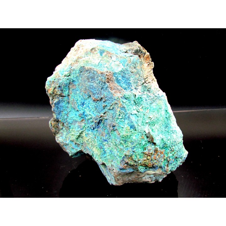 superbe bois fossile en azurite malachite