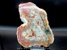 dinosaur coprolithe - jurassic - Morrison Formation