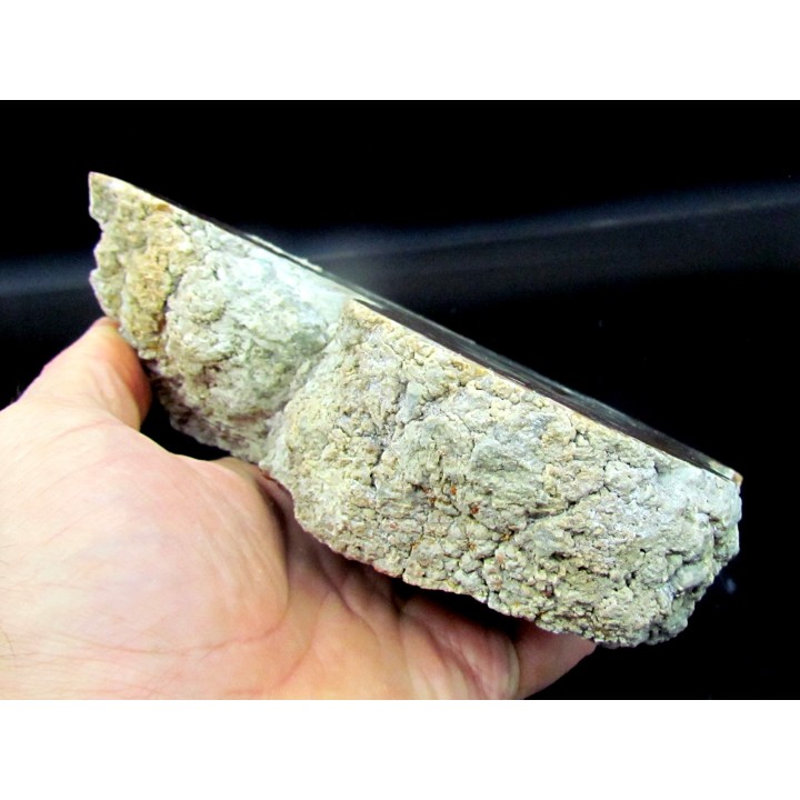 coprolithe de dinosaure - jurassique - Morrison Formation