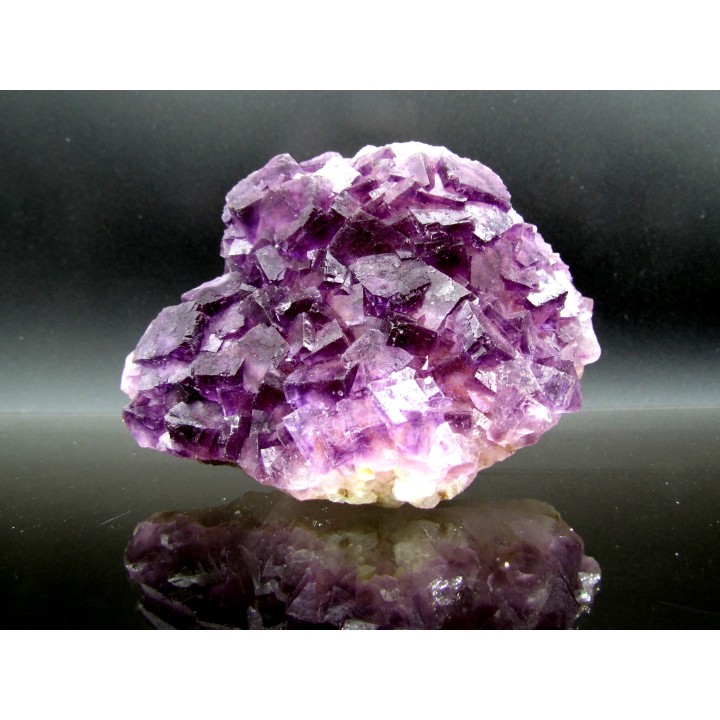 fluorine violette -  Fonsante - France
