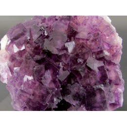 fluorine violette -  Fonsante - France