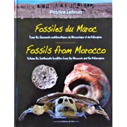 Fossiles du Maroc Volume 2a: Gisements emblématiques du Mésozoïque et du Cénozoïque