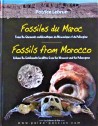 Fossiles du Maroc Volume 2a: Gisements emblématiques du Mésozoïque et du Cénozoïque