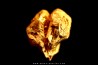 native gold - Crystallized gold - France