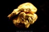 native gold - Crystallized gold - France