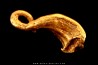 native gold - crosse d’évêque - Colombia