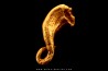 native gold - crosse d’évêque - Colombia