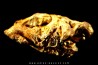 native gold - Crystallized gold - France