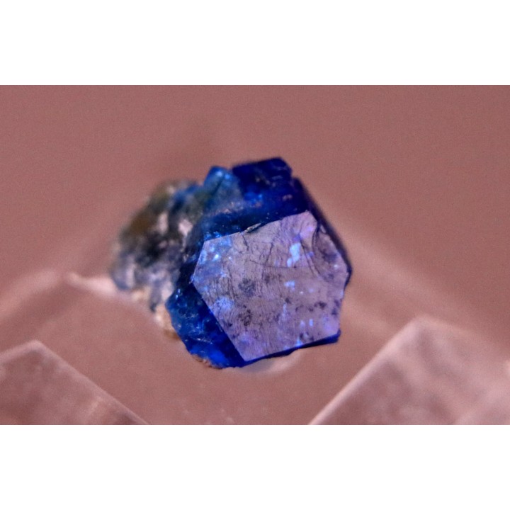 Sodalite // Sar-e-Sang, Kokcha Valley, Badakhshan, AFGHANISTAN