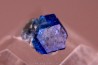 Sodalite // Sar-e-Sang, Kokcha Valley, Badakhshan, AFGHANISTAN